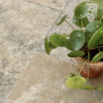 Płytki podłogowe trawertyn Silver Latte – subtelny wzór i chłodna tonacja szarości