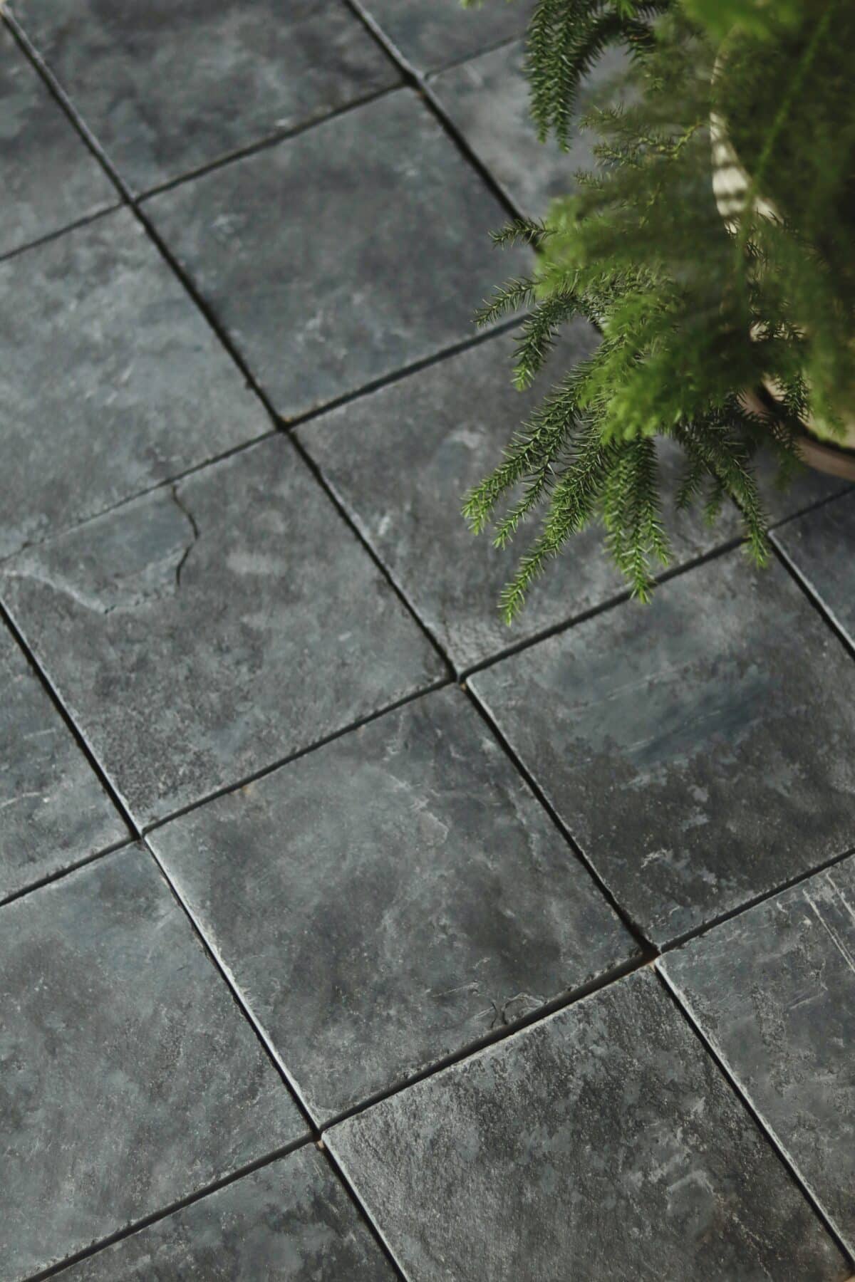 Płytki z wapienia KADAPPA 20x20 cm o półszlifowanej powierzchni, widoczne obok donicy z zieloną rośliną