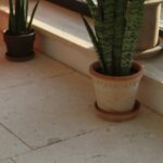 Wapień ARENA płytki 40xFL 3 cm antykowane