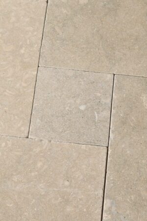 IMG 2349 1 Duzy e1776200683616