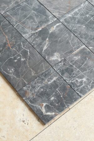 IMG 2391 1 Duzy e1775645178572