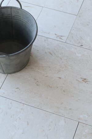 IMG 2400 1 Duzy e1775833765249