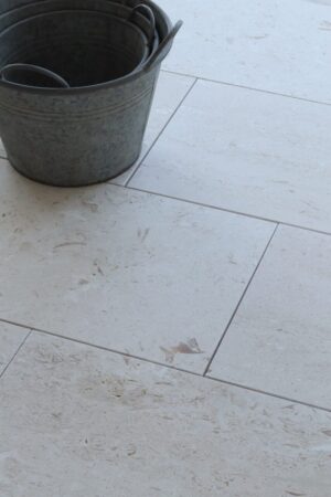 IMG 2403 1 Duzy e1775833808984