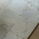 Marmur CALACATTA GOLD płytki 20,3×20,3×1 cm szlifowane